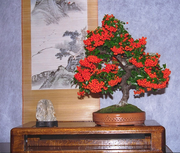 Img0083.JPG (173475 bytes)